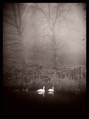 blackford+pond.jpg