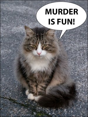 cat-meme-murderfun.jpg cat-meme-murderfun.jpg