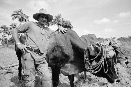 man-old-w-two-ox.jpg man-old-w-two-ox.jpg