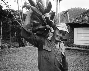 man-w-stalk-of-bananas.jpg