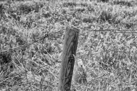 000019780026BW copy.jpg