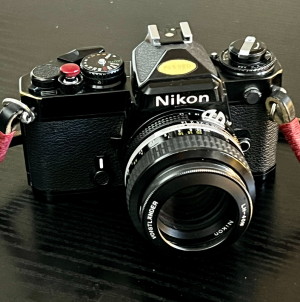 All Hail the Nikon FE (not FE2) | Rangefinderforum