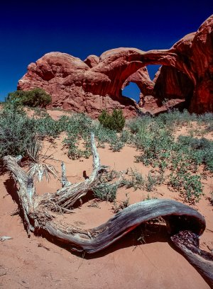 Arches4-2.jpg Arches4-2.jpg
