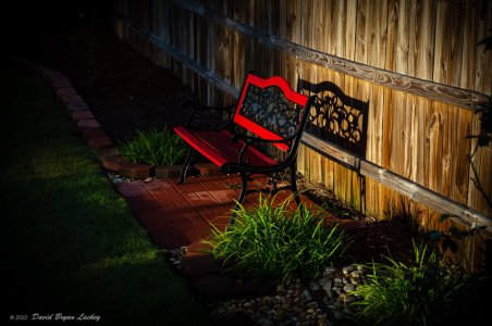 Red Bench in the Morning, After the Storm by Leica S August 2022.jpeg Red Bench in the Morning, After the Storm by Leica S August 2022.jpeg