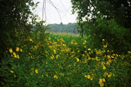 DSC_0324.jpg