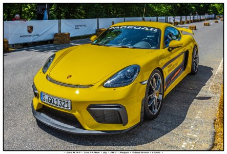 220716_L2012193_Porsche_Pacecar_gelb_Solitude_Stuttgart_M10P_3.4-21_dng_26MB_PSCC_fb_frame220p...jpg