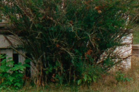 000091030031-crop.jpg 000091030031-crop.jpg