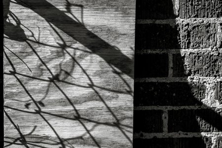 _LS20018-1-1-2.jpg
