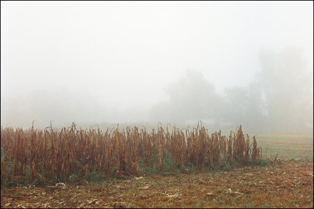 000022580028-2.jpg 000022580028-2.jpg