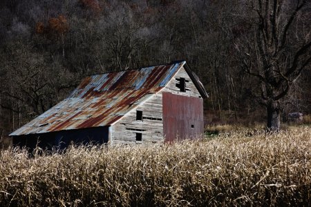 DSC_1064.jpg DSC_1064.jpg