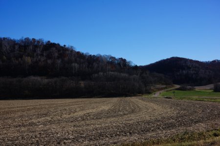DSC_1074.jpg DSC_1074.jpg