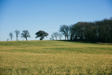 DSC_1249.jpg