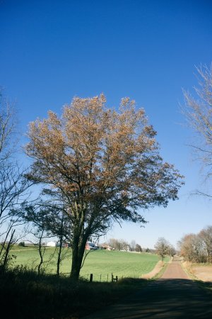 DSC_1262.jpg