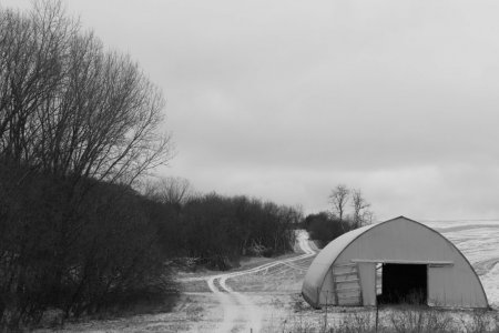 DSC_1393.jpg