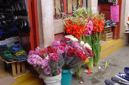 Patzcuaro Market Flowers.jpg