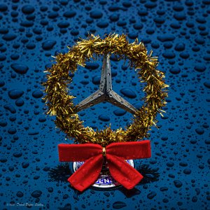 Christmas MB Star 2 FINAL8x8.jpeg Christmas MB Star 2 FINAL8x8.jpeg