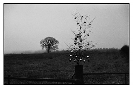 Scan12135sm.JPG