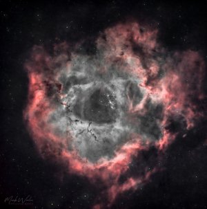 Rosette Nebula NGC2244.2.JPG