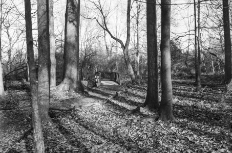 2024-01-04 Stage Canon P Nikkor 50-35 PAN F 5295100014.jpg