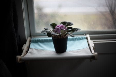 1710513531363.jpeg 1710513531363.jpeg