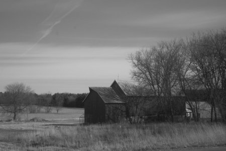 L1009436-2.jpg L1009436-2.jpg
