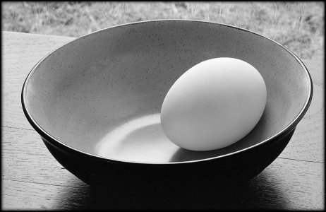 118-4 Egg.jpg