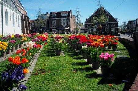 kerk met tulpen Noordwijkerhout  (2)smal.jpg