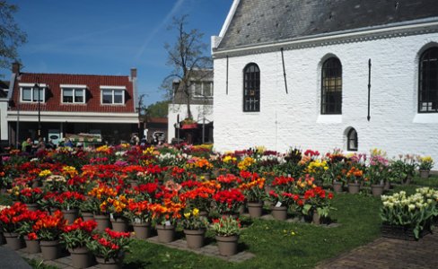 kerk met tulpen Noordwijkerhout  (6)smal.jpg