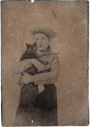 mandelpostcardcat.jpg mandelpostcardcat.jpg