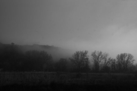 L1000206-1.jpg