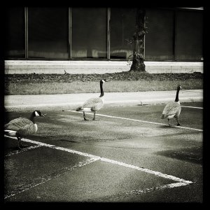 HipstamaticPhoto-696787132.817985.jpg