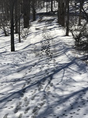 IMG_0889.jpeg