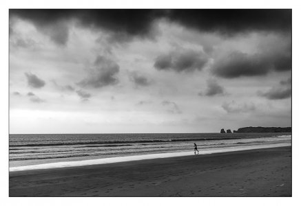 _DSF5375_V2024.jpg