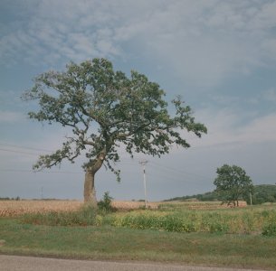 000359230005.jpg 000359230005.jpg