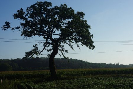 DSC_0303.jpg DSC_0303.jpg