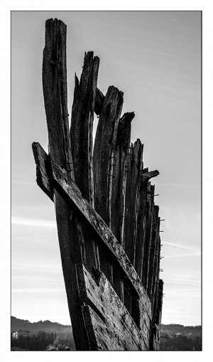 DSCF6778-3.jpg