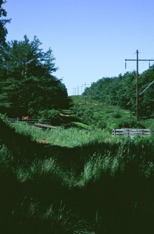 000016680024s.jpg
