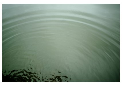 _R001880.jpg