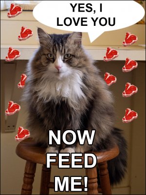 sneaky-steak-loveyou.jpg
