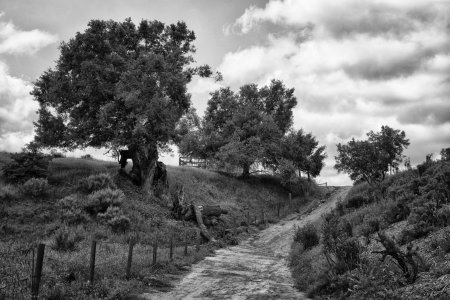 L1000110P(B&W).jpg