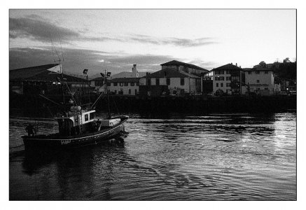 17024_DELTA3200_1250ASA_HC110_1+31_M5_35mm_ULTRON_NARANJA_22_PS_2019_V2024.jpg