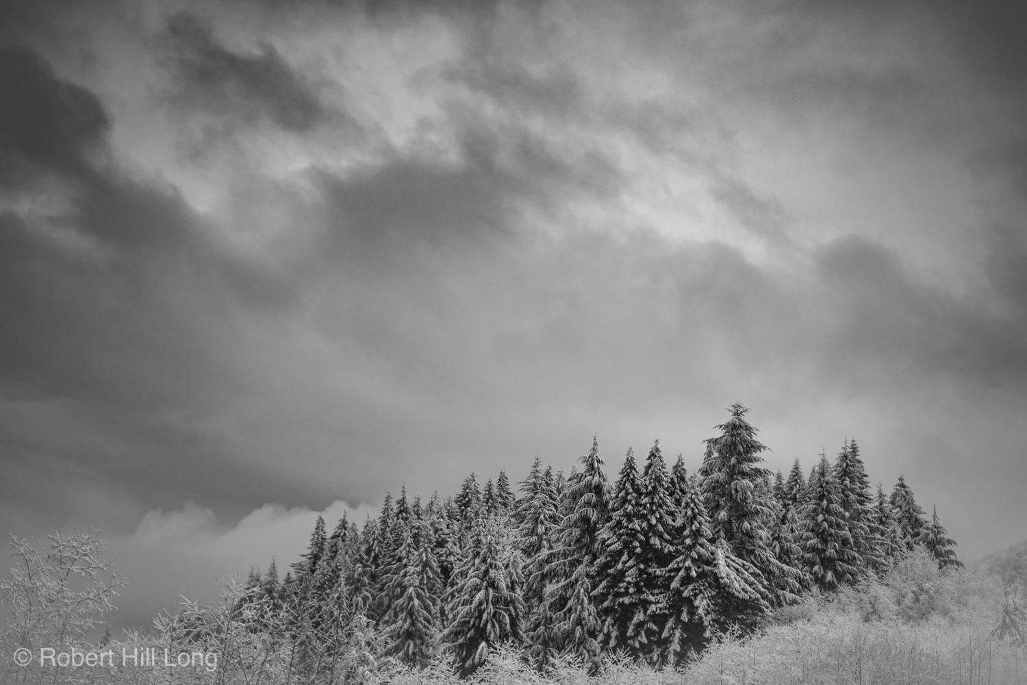 U45148I1549861095.SEQ.0.jpg